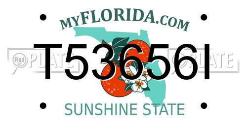 T53656I Florida License Plate