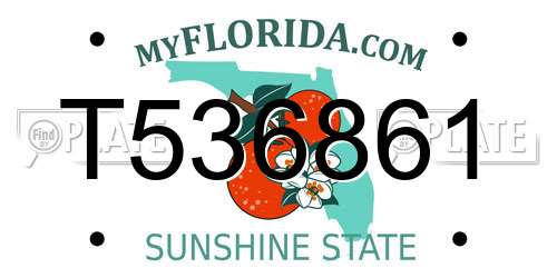 T536861 Florida License Plate