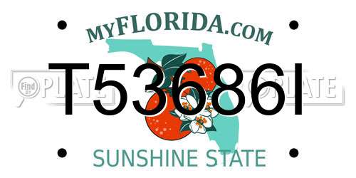 T53686I Florida License Plate