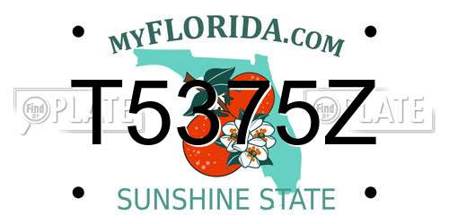 T5375Z Florida License Plate