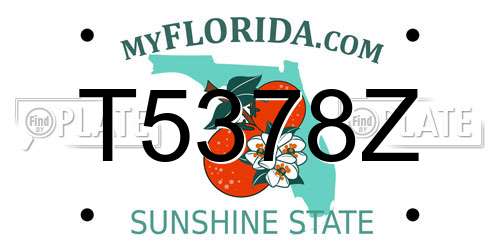 T5378Z Florida License Plate