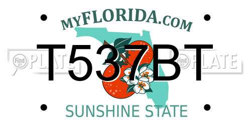 T537BT Florida License Plate
