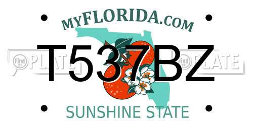 T537BZ Florida License Plate