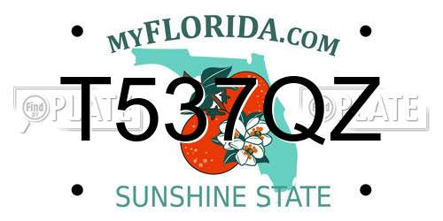 T537QZ Florida License Plate