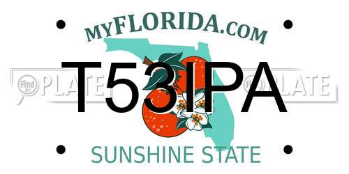 T53IPA Florida License Plate