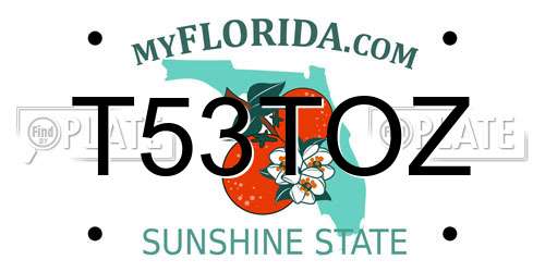 T53TOZ Florida License Plate
