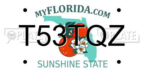 T53TQZ Florida License Plate