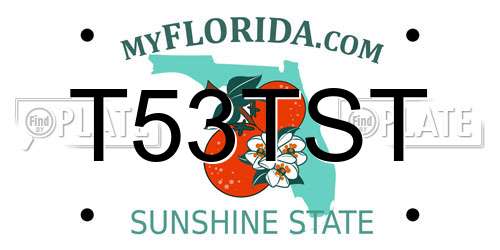 T53TST Florida License Plate