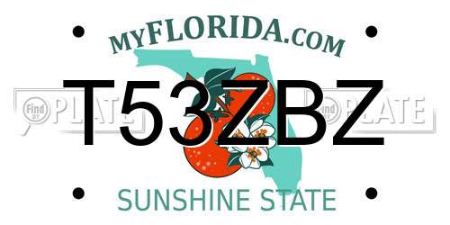 T53ZBZ Florida License Plate
