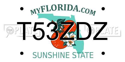 T53ZDZ Florida License Plate