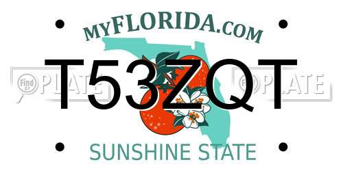 T53ZQT Florida License Plate