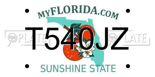 T540JZ Florida License Plate