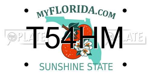 T54HM Florida License Plate