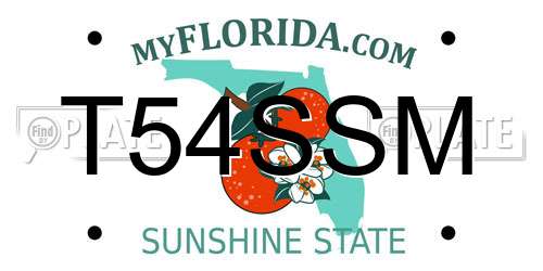 T54SSM Florida License Plate