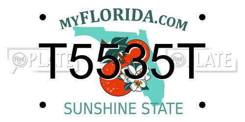 T5535T Florida License Plate
