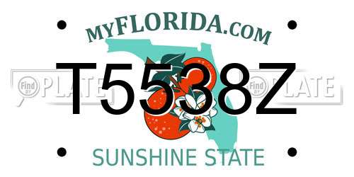 T5538Z Florida License Plate