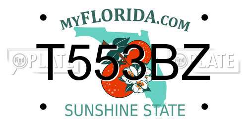 T553BZ Florida License Plate