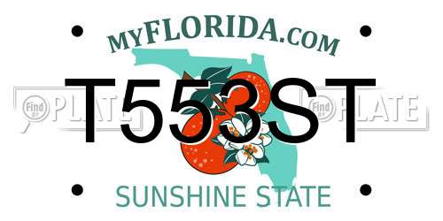 T553ST Florida License Plate