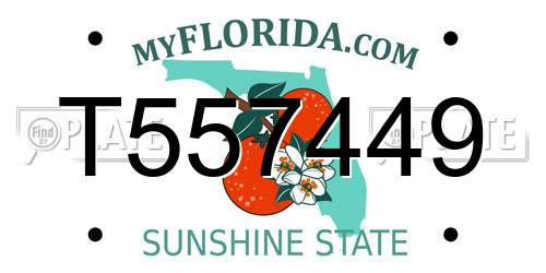 T557449 Florida License Plate