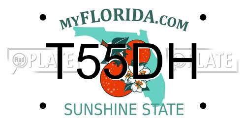 T55DH Florida License Plate