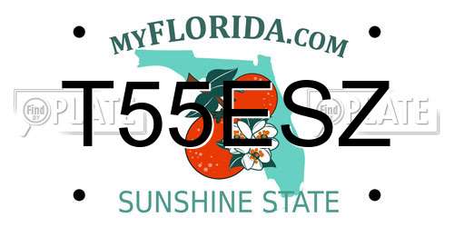 T55ESZ Florida License Plate