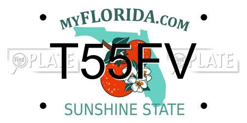 T55FV Florida License Plate