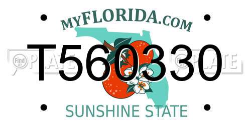 T560330 Florida License Plate
