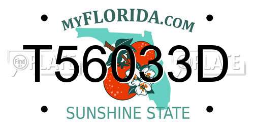T56033D Florida License Plate