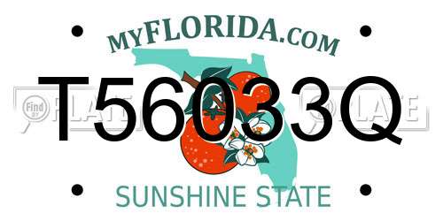 T56033Q Florida License Plate