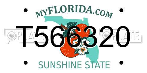 T566320 Florida License Plate