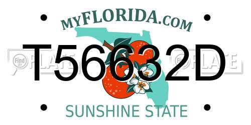 T56632D Florida License Plate