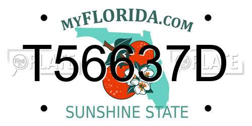 T56637D Florida License Plate