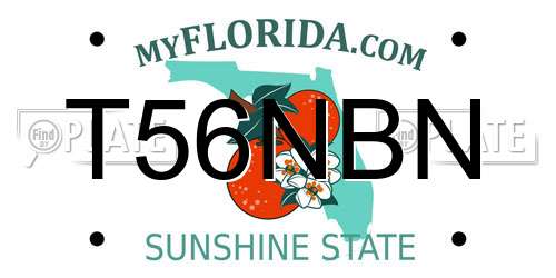 T56NBN Florida License Plate