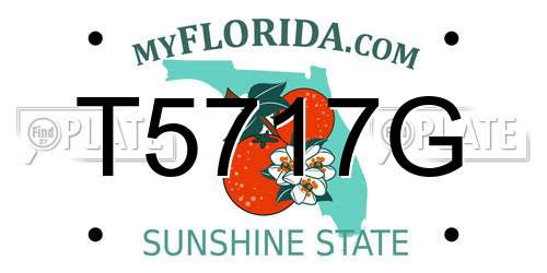 T5717G Florida License Plate