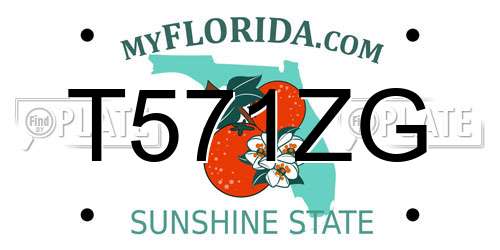 T571ZG Florida License Plate