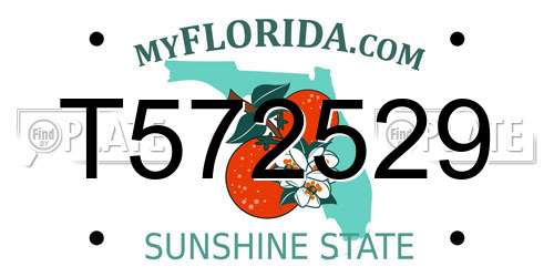 T572529 Florida License Plate