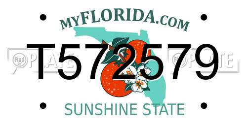 T572579 Florida License Plate