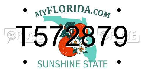 T572879 Florida License Plate