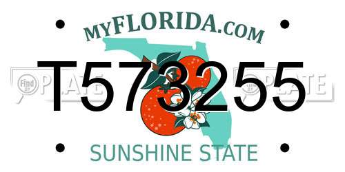 T573255 Florida License Plate
