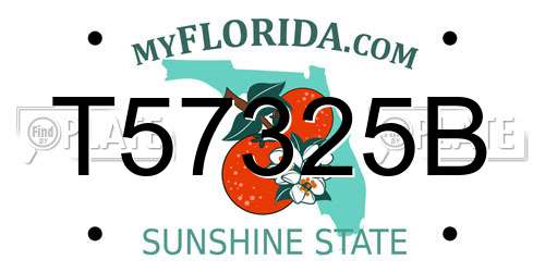 T57325B Florida License Plate