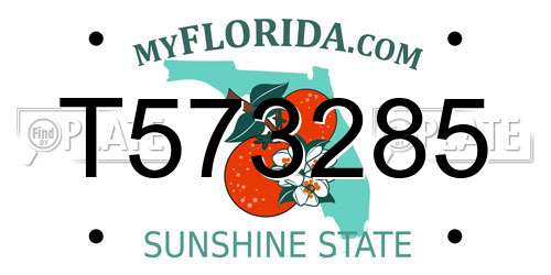 T573285 Florida License Plate