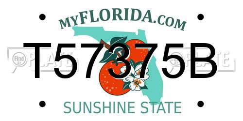 T57375B Florida License Plate