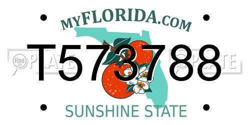 T573788 Florida License Plate