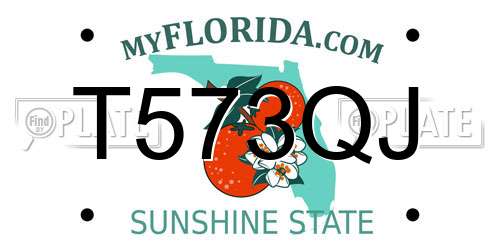 T573QJ Florida License Plate