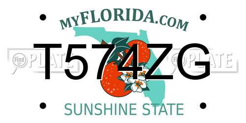 T574ZG Florida License Plate