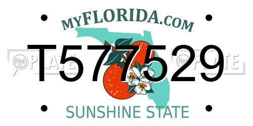 T577529 Florida License Plate