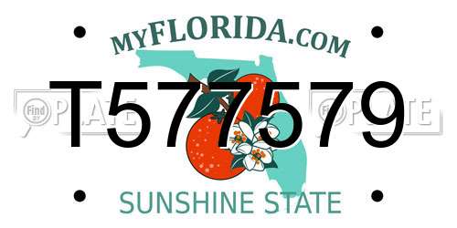T577579 Florida License Plate