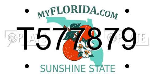 T577879 Florida License Plate