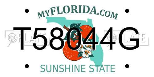 T58044G Florida License Plate