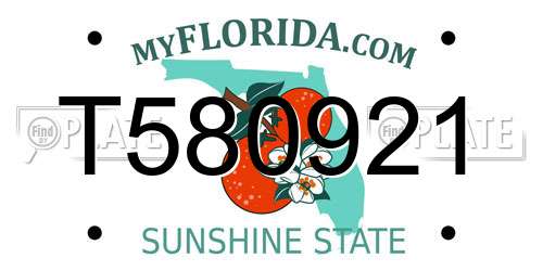 T580921 Florida License Plate